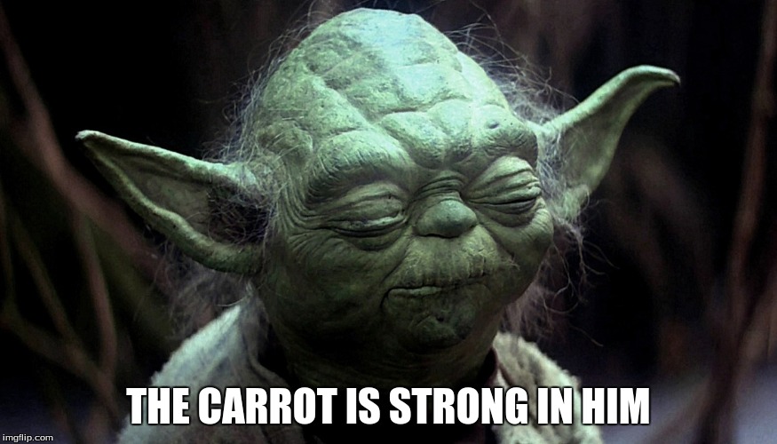 THE CARROT IS STRONG IN HIM | image tagged in star wars yoda | made w/ Imgflip meme maker