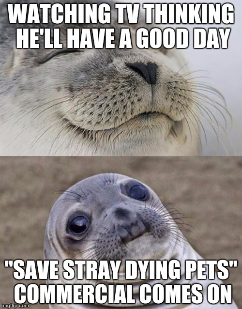 Short Satisfaction VS Truth | WATCHING TV THINKING HE'LL HAVE A GOOD DAY "SAVE STRAY DYING PETS" COMMERCIAL COMES ON | image tagged in memes,short satisfaction vs truth | made w/ Imgflip meme maker