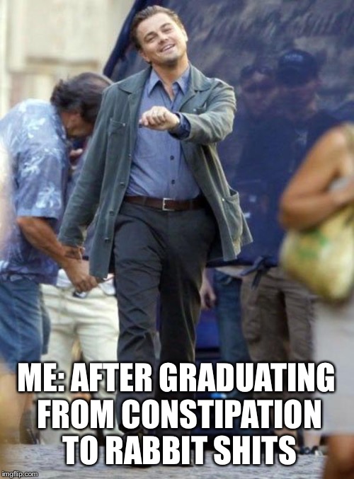 Leonardo | ME: AFTER GRADUATING FROM CONSTIPATION TO RABBIT SHITS | image tagged in leonardo | made w/ Imgflip meme maker
