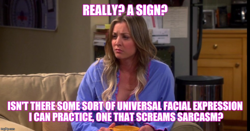 REALLY? A SIGN? ISN'T THERE SOME SORT OF UNIVERSAL FACIAL EXPRESSION I CAN PRACTICE, ONE THAT SCREAMS SARCASM? | made w/ Imgflip meme maker
