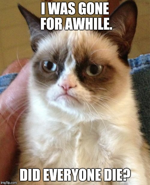 How long was it?  | I WAS GONE FOR AWHILE. DID EVERYONE DIE? | image tagged in memes,grumpy cat | made w/ Imgflip meme maker