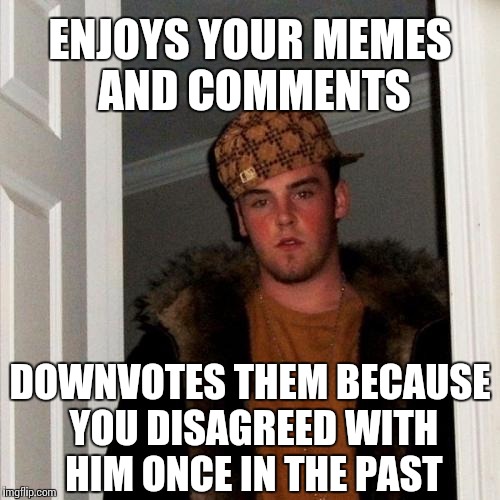 Scumbag Steve Meme | ENJOYS YOUR MEMES AND COMMENTS DOWNVOTES THEM BECAUSE YOU DISAGREED WITH HIM ONCE IN THE PAST | image tagged in memes,scumbag steve | made w/ Imgflip meme maker
