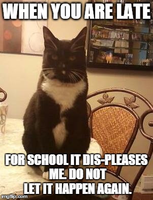 WHEN YOU ARE LATE FOR SCHOOL IT DIS-PLEASES ME. DO NOT LET IT HAPPEN AGAIN. | image tagged in kitty | made w/ Imgflip meme maker