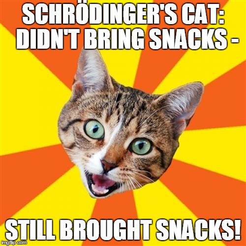 Bad Advice Cat | SCHRÖDINGER'S CAT: DIDN'T BRING SNACKS - STILL BROUGHT SNACKS! | image tagged in memes,bad advice cat | made w/ Imgflip meme maker