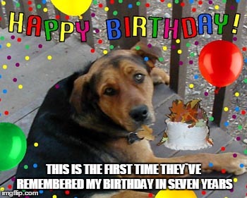 "I wanted a steak." | THIS IS THE FIRST TIME THEY`VE REMEMBERED MY BIRTHDAY IN SEVEN YEARS | image tagged in funny dogs | made w/ Imgflip meme maker