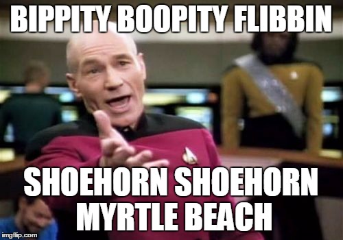 Picard Wtf Meme | BIPPITY BOOPITY FLIBBIN SHOEHORN SHOEHORN MYRTLE BEACH | image tagged in memes,picard wtf | made w/ Imgflip meme maker