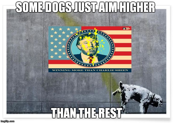 SOME DOGS JUST AIM HIGHER THAN THE REST | made w/ Imgflip meme maker