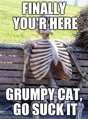 Waiting Skeleton Meme | FINALLY YOU'R HERE GRUMPY CAT, GO SUCK IT | image tagged in memes,waiting skeleton | made w/ Imgflip meme maker