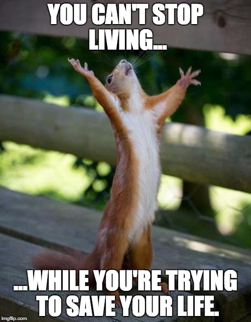Happy Squirrel | YOU CAN'T STOP LIVING... ...WHILE YOU'RE TRYING TO SAVE YOUR LIFE. | image tagged in happy squirrel | made w/ Imgflip meme maker