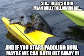 SIR... THERE'S A BIG MEAN BULLY FOLLOWING ME... AND IF YOU START PADDLING NOW,  MAYBE WE CAN BOTH GET AWAY !!! | image tagged in hey buddycan i hitch a ride | made w/ Imgflip meme maker