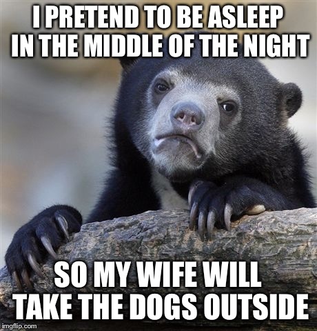Confession Bear Meme | I PRETEND TO BE ASLEEP IN THE MIDDLE OF THE NIGHT SO MY WIFE WILL TAKE THE DOGS OUTSIDE | image tagged in memes,confession bear,AdviceAnimals | made w/ Imgflip meme maker