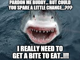 Panhandling Shark | PARDON ME BUDDY... BUT COULD YOU SPARE A LITTLE CHANGE...??? I REALLY NEED TO GET A BITE TO EAT..!!! | image tagged in pardon me shark,bum,memes,meme,scumbag | made w/ Imgflip meme maker