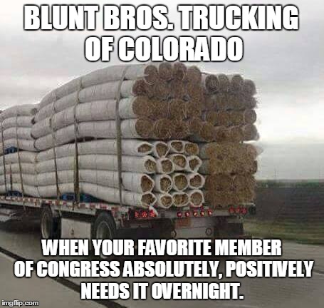  Up in smoke. | BLUNT BROS. TRUCKING OF COLORADO WHEN YOUR FAVORITE MEMBER OF CONGRESS ABSOLUTELY, POSITIVELY NEEDS IT OVERNIGHT. | image tagged in marijuana,congress,democrats,republicans,religion,politics | made w/ Imgflip meme maker