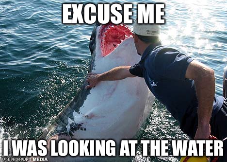 Shark | EXCUSE ME I WAS LOOKING AT THE WATER | image tagged in shark | made w/ Imgflip meme maker