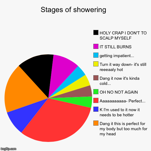 You'll never guess where I got this idea... | image tagged in funny,pie charts,shower | made w/ Imgflip chart maker