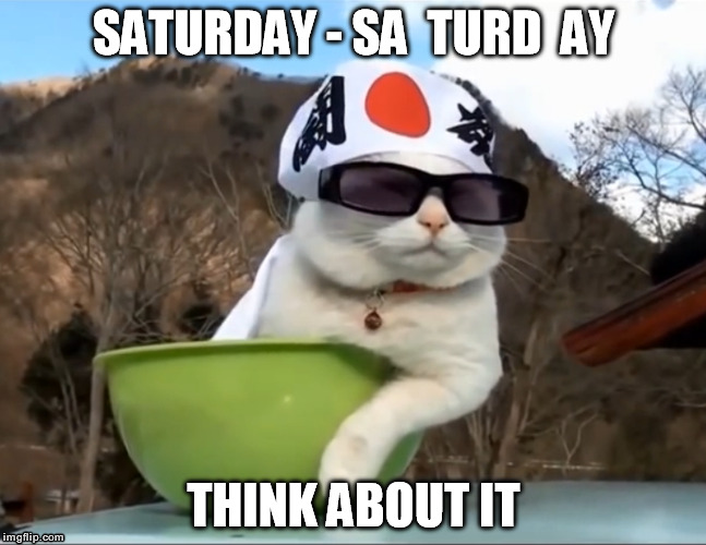 Japanese Bowl Cat | SATURDAY - SA  TURD  AY THINK ABOUT IT | image tagged in nsfw | made w/ Imgflip meme maker