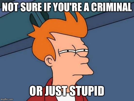 NOT SURE IF YOU'RE A CRIMINAL OR JUST STUPID | image tagged in memes,futurama fry | made w/ Imgflip meme maker