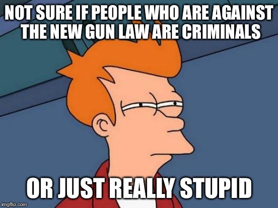 Enough said.  | NOT SURE IF PEOPLE WHO ARE AGAINST THE NEW GUN LAW ARE CRIMINALS OR JUST REALLY STUPID | image tagged in memes,futurama fry | made w/ Imgflip meme maker