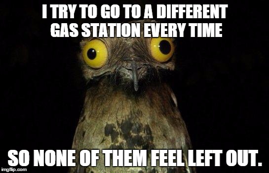 Crazy eyed bird | I TRY TO GO TO A DIFFERENT GAS STATION EVERY TIME SO NONE OF THEM FEEL LEFT OUT. | image tagged in crazy eyed bird | made w/ Imgflip meme maker