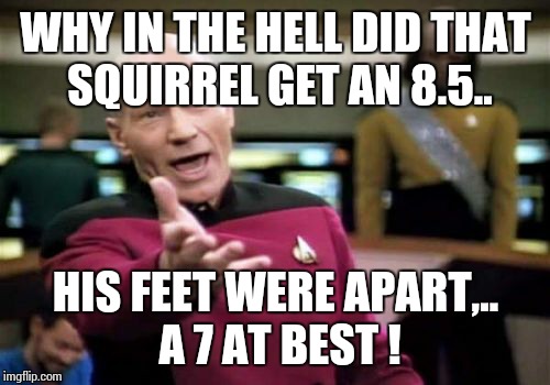 Picard Wtf Meme | WHY IN THE HELL DID THAT SQUIRREL GET AN 8.5.. HIS FEET WERE APART,.. A 7 AT BEST ! | image tagged in memes,picard wtf | made w/ Imgflip meme maker