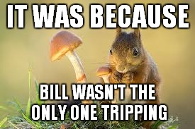 IT WAS BECAUSE BILL WASN'T THE ONLY ONE TRIPPING | made w/ Imgflip meme maker