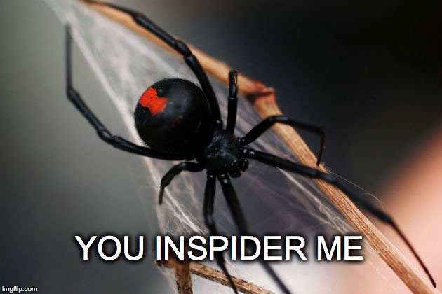 Come into my parlor... | YOU INSPIDER ME | image tagged in black widow,spider,inspire | made w/ Imgflip meme maker