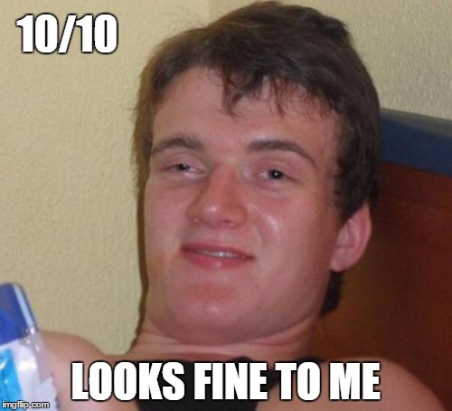 10 Guy Meme | 10/10 LOOKS FINE TO ME | image tagged in memes,10 guy | made w/ Imgflip meme maker