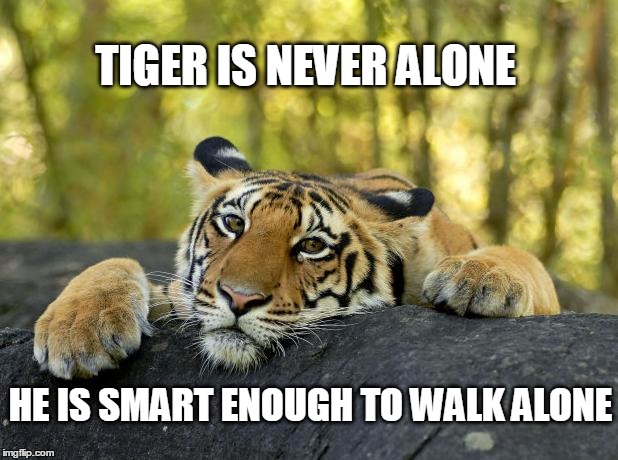 Confession Tiger | TIGER IS NEVER ALONE HE IS SMART ENOUGH TO WALK ALONE | image tagged in confession tiger | made w/ Imgflip meme maker