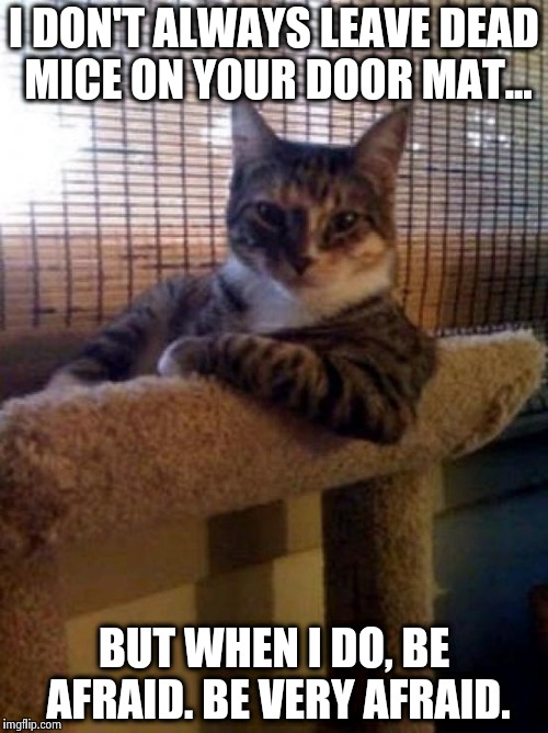 The Most Interesting Cat In The World | I DON'T ALWAYS LEAVE DEAD MICE ON YOUR DOOR MAT... BUT WHEN I DO, BE AFRAID. BE VERY AFRAID. | image tagged in memes,the most interesting cat in the world,cats,funny memes,threats | made w/ Imgflip meme maker
