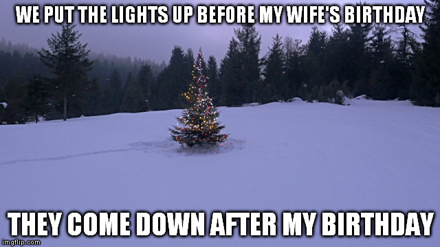 No-shave-vember goes on until the pain of saint valentines. | WE PUT THE LIGHTS UP BEFORE MY WIFE'S BIRTHDAY THEY COME DOWN AFTER MY BIRTHDAY | image tagged in haters gonna hate,memes,birthday,christmas,thanksgiving,real life | made w/ Imgflip meme maker