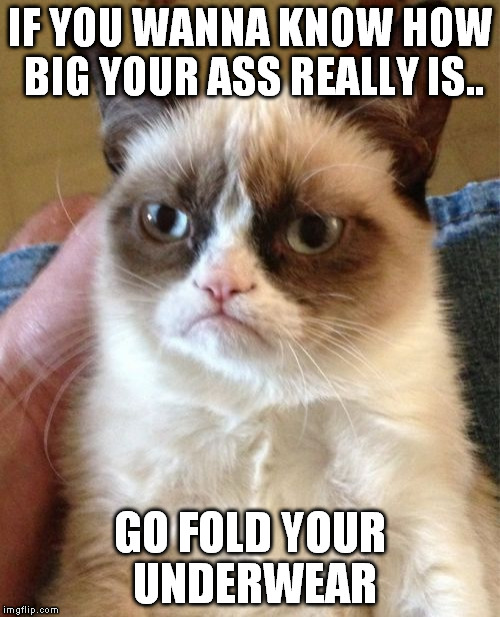 Grumpy Cat Meme | IF YOU WANNA KNOW HOW BIG YOUR ASS REALLY IS.. GO FOLD YOUR UNDERWEAR | image tagged in memes,grumpy cat | made w/ Imgflip meme maker