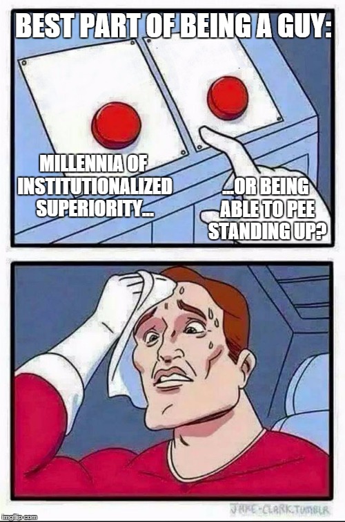 Two Buttons Meme | BEST PART OF BEING A GUY: MILLENNIA OF INSTITUTIONALIZED SUPERIORITY... ...OR BEING ABLE TO PEE STANDING UP? | image tagged in hard choice to make | made w/ Imgflip meme maker