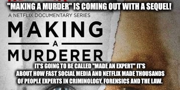 Let's Netflix and become experts in something complicated.  | "MAKING A MURDER" IS COMING OUT WITH A SEQUEL! IT'S GOING TO BE CALLED "MADE AN EXPERT" IT'S ABOUT HOW FAST SOCIAL MEDIA AND NETFLIX MADE TH | image tagged in making a murderer,social media,netflix | made w/ Imgflip meme maker