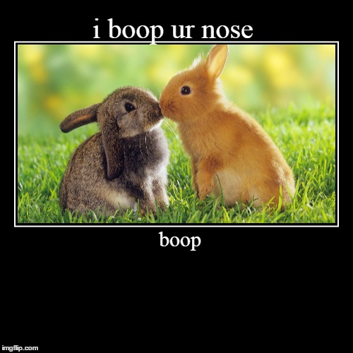 boop meaning dog