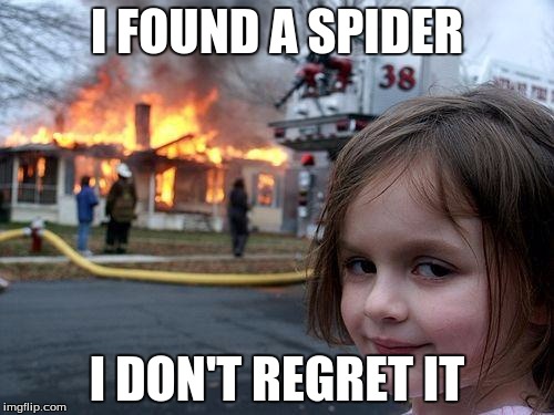 Disaster Girl Meme | I FOUND A SPIDER I DON'T REGRET IT | image tagged in memes,disaster girl | made w/ Imgflip meme maker