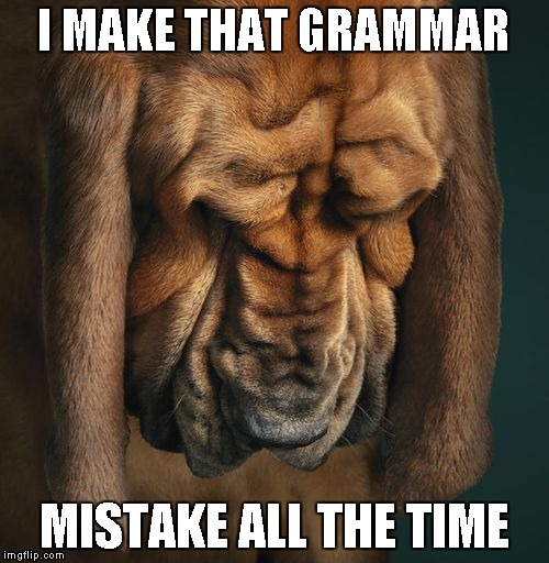 I MAKE THAT GRAMMAR MISTAKE ALL THE TIME | made w/ Imgflip meme maker