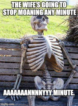 Waiting Skeleton | THE WIFE'S GOING TO STOP MOANING ANY MINUTE AAAAAAANNNNYYY MINUTE. | image tagged in memes,waiting skeleton | made w/ Imgflip meme maker