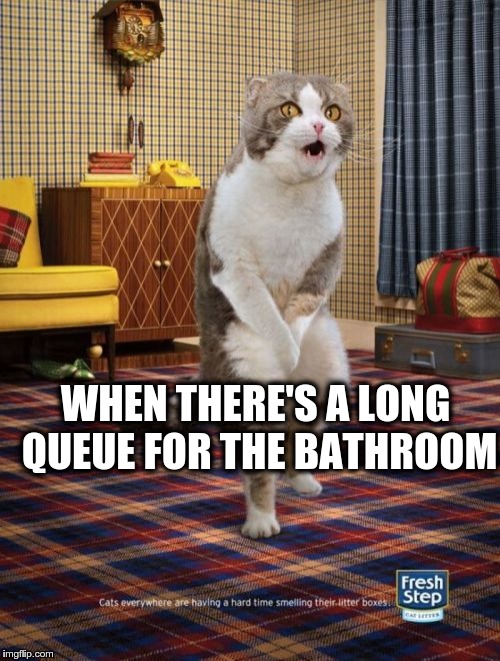 Gotta Go Cat | WHEN THERE'S A LONG QUEUE FOR THE BATHROOM | image tagged in memes,gotta go cat | made w/ Imgflip meme maker