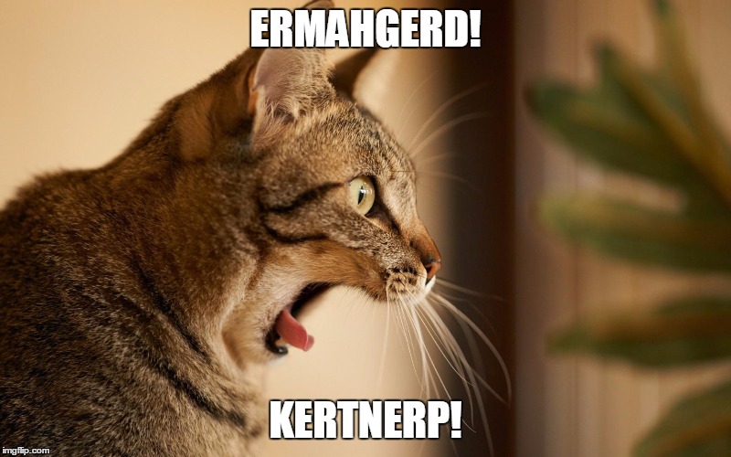 ERMAHGERD! KERTNERP! | image tagged in omg,animals | made w/ Imgflip meme maker
