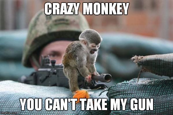 Gun Monkey | CRAZY MONKEY YOU CAN'T TAKE MY GUN | image tagged in guns | made w/ Imgflip meme maker