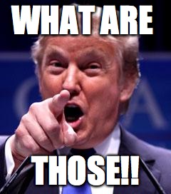 Trump Trademark | WHAT ARE THOSE!! | image tagged in trump trademark | made w/ Imgflip meme maker