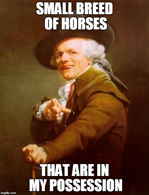 Joseph Ducreux Meme | SMALL BREED OF HORSES THAT ARE IN MY POSSESSION | image tagged in memes,joseph ducreux | made w/ Imgflip meme maker