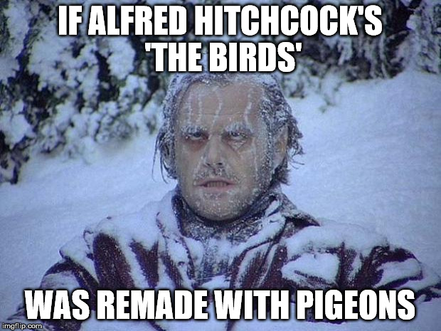 Jack Nicholson The Shining Snow Meme | IF ALFRED HITCHCOCK'S 'THE BIRDS' WAS REMADE WITH PIGEONS | image tagged in memes,jack nicholson the shining snow | made w/ Imgflip meme maker
