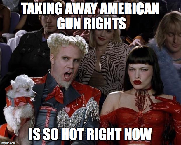 Mugatu So Hot Right Now | TAKING AWAY AMERICAN GUN RIGHTS IS SO HOT RIGHT NOW | image tagged in memes,mugatu so hot right now | made w/ Imgflip meme maker