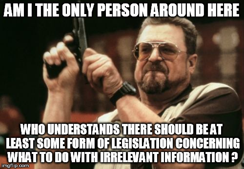 Am I The Only One Around Here Meme | AM I THE ONLY PERSON AROUND HERE WHO UNDERSTANDS THERE SHOULD BE AT LEAST SOME FORM OF LEGISLATION CONCERNING WHAT TO DO WITH IRRELEVANT INF | image tagged in memes,am i the only one around here | made w/ Imgflip meme maker