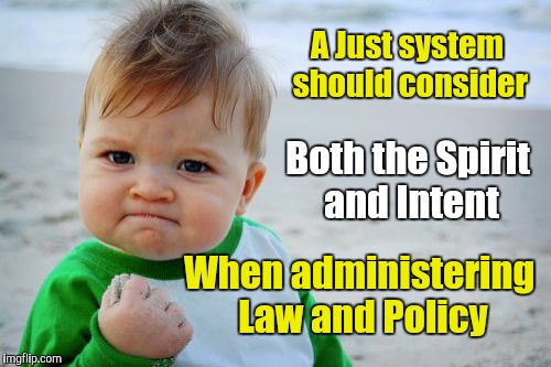 Spirit and Intent | A Just system should consider When administering Law and Policy Both the Spirit and Intent | image tagged in memes,success kid original | made w/ Imgflip meme maker