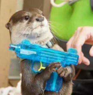 High Quality Killer otter Blank Meme Template