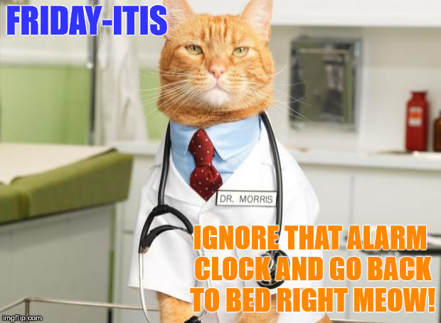Cat Doctor | FRIDAY-ITIS IGNORE THAT ALARM CLOCK AND GO BACK TO BED RIGHT MEOW! | image tagged in cat doctor | made w/ Imgflip meme maker