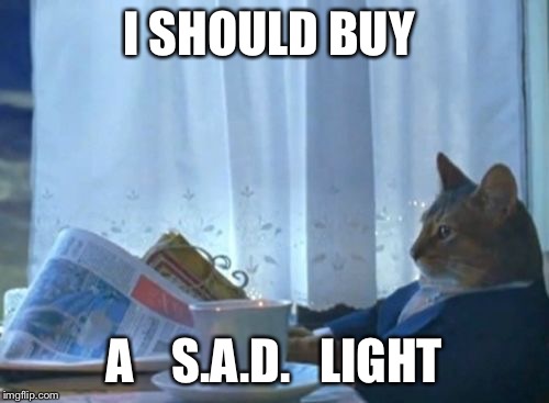 I Should Buy a Boat Cat | I SHOULD BUY A    S.A.D.   LIGHT | image tagged in i should buy a boat cat | made w/ Imgflip meme maker