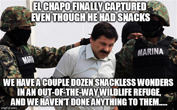 El Chapo captured | EL CHAPO FINALLY CAPTURED EVEN THOUGH HE HAD SNACKS WE HAVE A COUPLE DOZEN SNACKLESS WONDERS IN AN OUT-OF-THE-WAY WILDLIFE REFUGE, AND WE HA | image tagged in el chapo captured,yallqueda | made w/ Imgflip meme maker